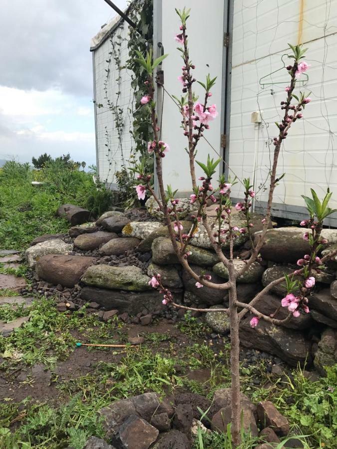 Natura-Eco Farm Eksteriør billede